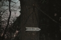 Birch Glen Sign Post