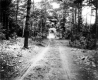 The Old Road at Red Rocks