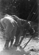 Three Men and a Ladder