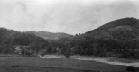 Wooded Hills