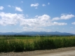 View of Mount Mansfield from Elmore