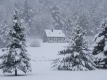Snow Falling on House