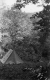 Camping in the Foothills
