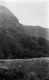 View of Sharply Rising Hillside from Flowered Meadow