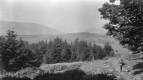 Guardsmen Walking on a Trail 