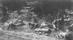 Three Young Men Relaxing on the Long Trail