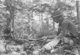 Cooking in the Woods