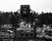 Crane at the North End of Beaver Pond