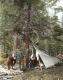 Three Men Camping at Cooley Glen