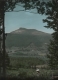 Camel's Hump framed by Trees