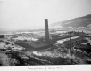 Sheldon Plant