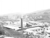 The Sheldon Plant