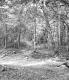 Where Long Trail Crosses Road in Middlebury Gap