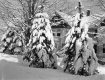 Snow on the Cavendish House