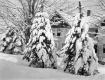 Snow Covered Cavendish House