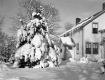 Snow Covered Fred Negus House