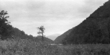 Wooded Mountains on the Long Trail