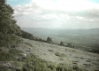 View from Bromley Mountain