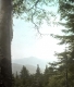 View of Camel's Hump from Lookout North of Dunsmoor Lodge