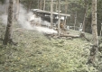 Birch Lodge