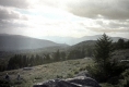 View from Pastures South of Bromley Mountains