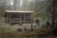 Cooley Glen Lodge