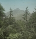 Camel's Hump from Montclair Glen