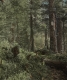 Trail from Nurian Spring