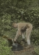 Collecting Water from a Spring at Cooley Glen