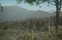The Forehead on Mt. Mansfield