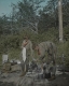 Washing Dishes at Carmel Camp