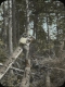 "A bad bit of blowdown"