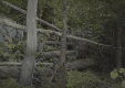 Trail Building