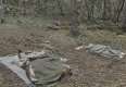 Camping Outside of Pleiad Lodge