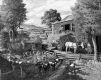 Farm Scene