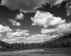 Clouds above a Field