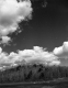 Clouds Above a Field