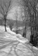 Snowy Bank of River