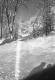 Shadows on the Snow