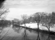 Trees Reflecting into River