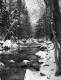 Brook in the Winter
