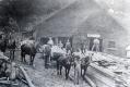 The Randall and Roberts Sawmill