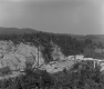 Hollister Plant 
