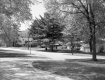 Warner Avenue from Olympus Road