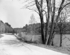 West Shore of Beaver Pond