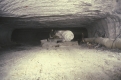 Drill and Man inside the Danby Marble Quarry