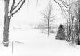 Backyard during Blizzards