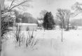 View of Backyard during Snowstorm