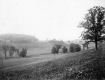 Chipman Hill