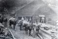 The Randall and Roberts Sawmill